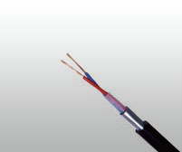 Twin Datalink Cable
